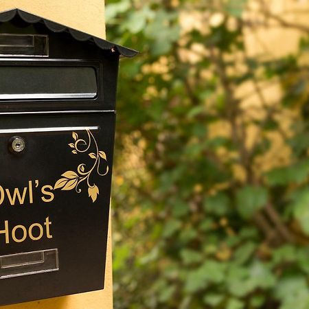 Owl'S Hoot Villa Thorndon Exterior photo